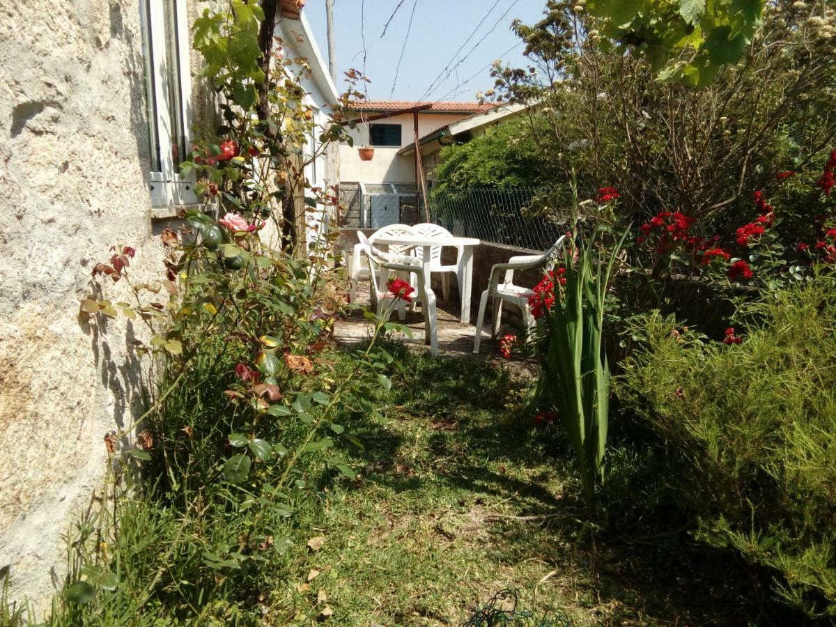 Cottage house Lovelhe المظهر الخارجي الصورة